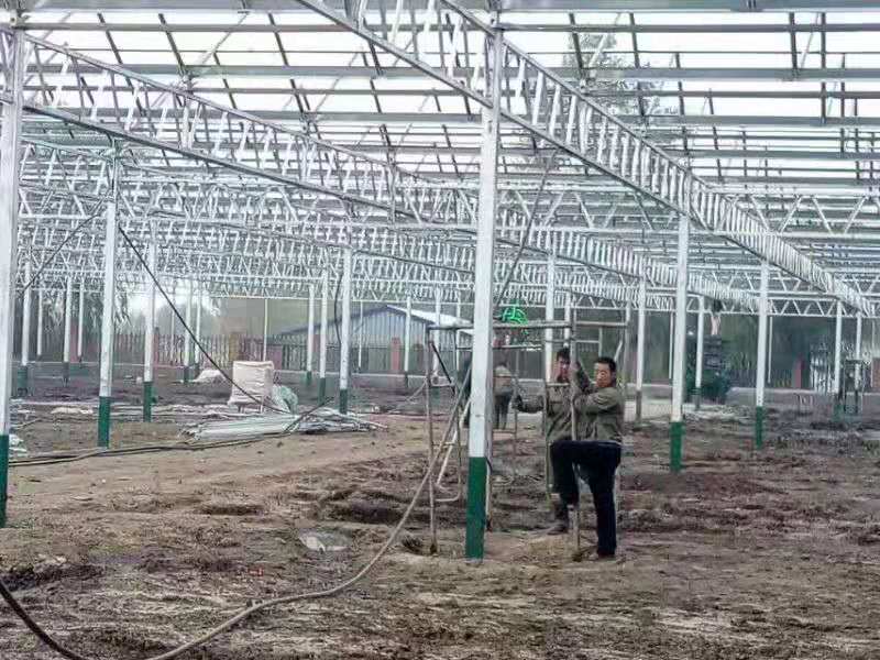 光伏智能溫室大棚建設(shè)四大特點(diǎn)